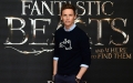 eddie-redmayne-attends-a-photocall-for-fantastic-beast-and-where-to-picture-id614276144.jpg