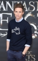 eddie-redmayne-attends-a-photocall-for-fantastic-beast-and-where-to-picture-id614282152.jpg