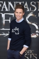 eddie-redmayne-attends-a-photocall-for-fantastic-beast-and-where-to-picture-id614282156.jpg