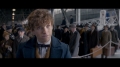 FANTASTIC_BEASTS_AND_WHERE_TO_FIND_THEM_TRAILER_2-1080_192.jpg