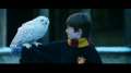 harrypotter-ss-2276.jpg