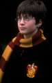 daniel_radcliffe_harry_potter_and_the_sorcerer_s_stone_001.jpg