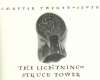 27_-_The_Lightning-struck_Tower.jpg