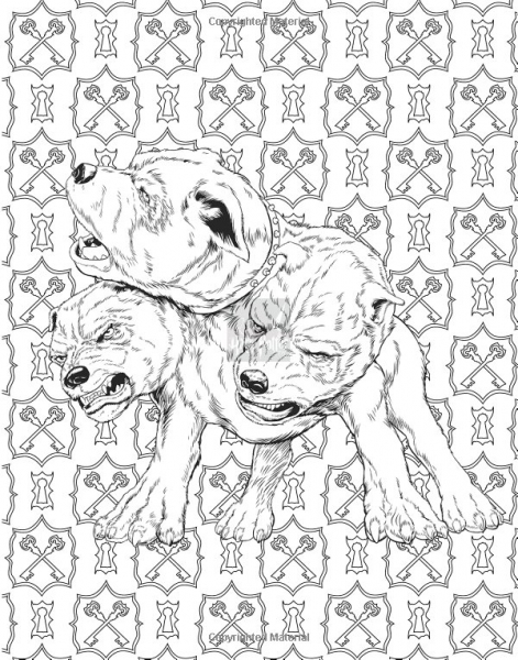 Photos: Harry Potter official coloring book first pages previews from ...