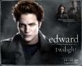 Rpatz_twilightpromowallpaper@snitchseeker.jpg