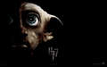 HP7_Wallpapers_1920x1200_Portrait_Dobby_129322461022273470.jpg