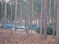 dh_set_swinleyforest10_02.JPG