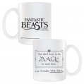 fantastic-beasts-merch_(33).jpg