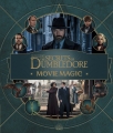 fantastic_beasts_the_secrets_of_dumbledore_movie_magic_fc.jpg