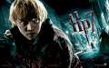 rupert_grint_in_harry_potter_and_the_deathly_hallows_movie_film_poster_hd_desktop_wallpaper_background_screensav-1920x1200.jpg