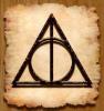 hoggywartyhog-warts's Avatar