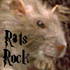 ratsrock123's Avatar