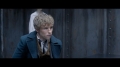 Fantastic_Beasts_and_Where_to_Find_Them_-_IMAX_Fan_Eve_1015.jpg