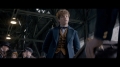 FANTASTIC_BEASTS_AND_WHERE_TO_FIND_THEM_TRAILER_2-1080_184.jpg