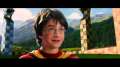 harrypotter-ss-1983.jpg