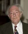 469973253-michael-gambon-attends-a-dramatic-arts-gettyimages.jpg