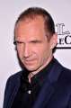 183737948-actor-ralph-fiennes-attends-the-gala-tribute-gettyimages.jpg