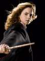 HermioneGranger_scarpotter.jpg