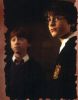 Harry_and_Ron_2.jpg
