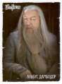 albusdumbledore002.jpg