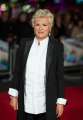 185136791-julie-walters-attends-the-european-premiere-gettyimages.jpg