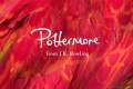 Pottermore_BrandPhotography_RedFeathers_RGB-copy.jpg